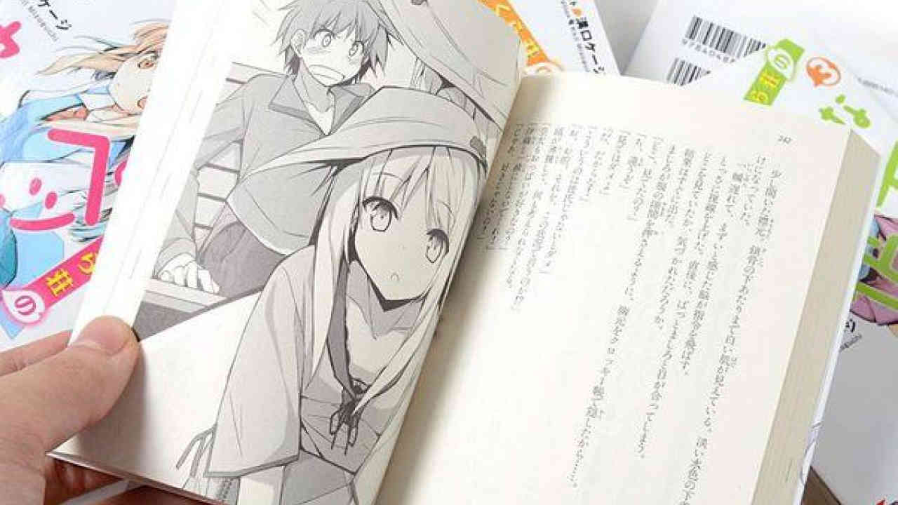 Baca Light Novel